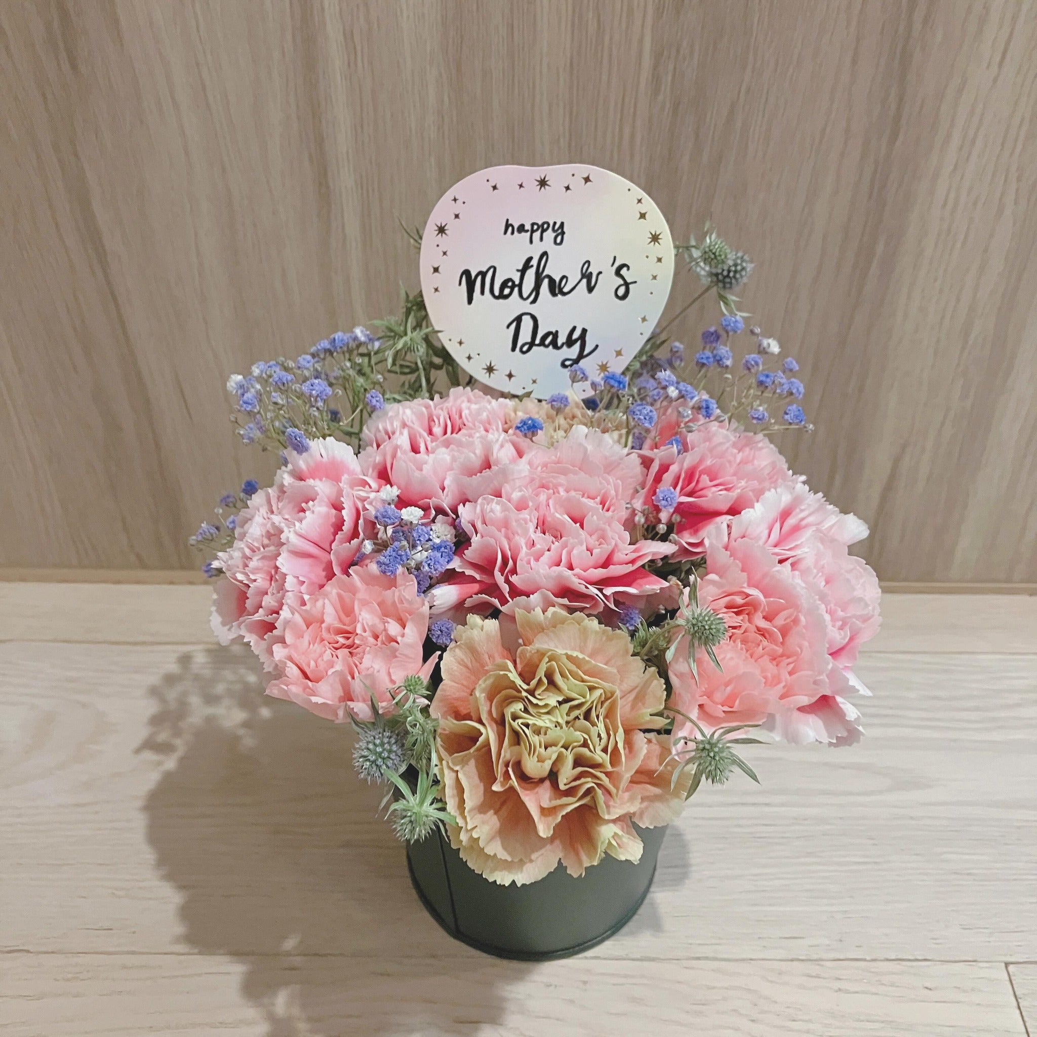 香港母親節康乃馨鮮花禮物小盆栽手工班