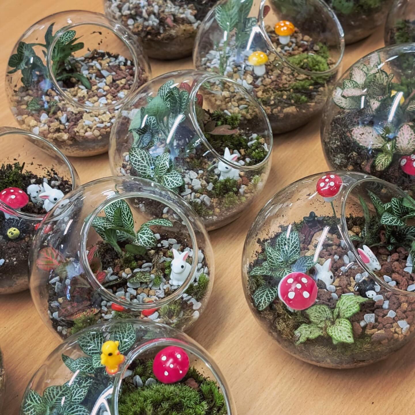 香港植物盆栽生態平DIY手工班